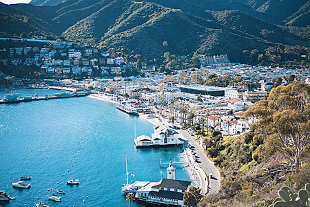 charter destinations