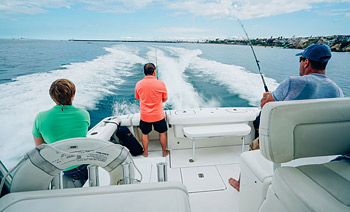 Yacht View